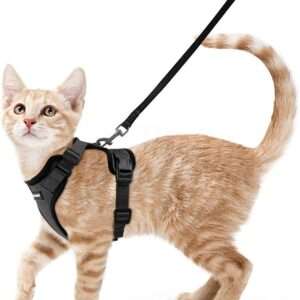 rabbitgoo Cat Harness and Leash for Walking, Escape Proof Soft Adjustable Vest Harnesses for Cats, Easy Control Breathable Reflective Strips Jacket